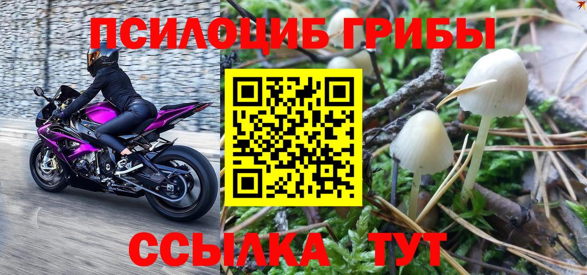 Галлюциногенные грибы Magic Shrooms Саров