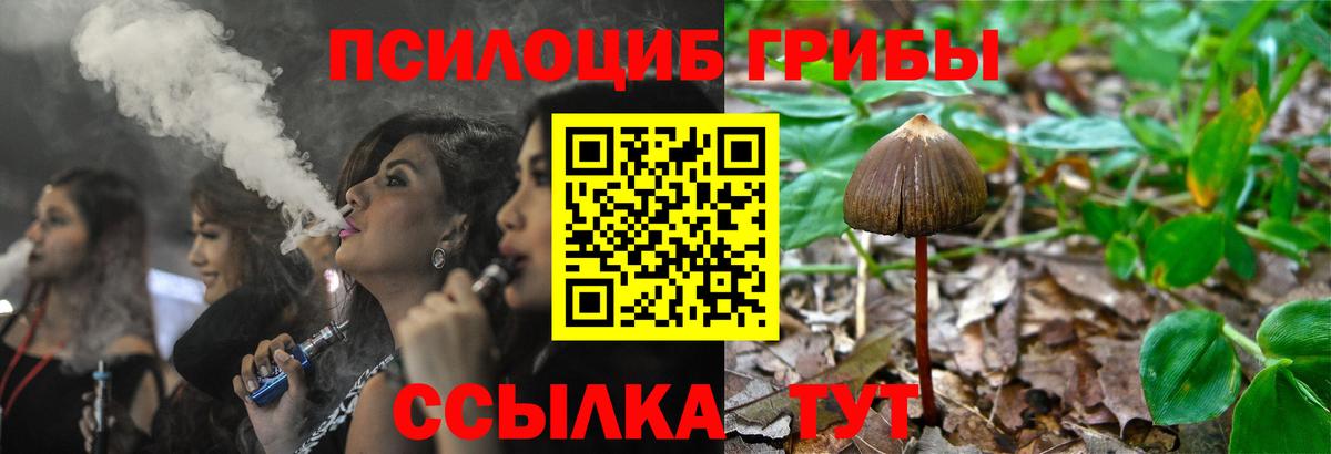 Галлюциногенные грибы прущие грибы  Вход с VPN  Саров  Псилоцибиновые грибы Magic Shrooms 